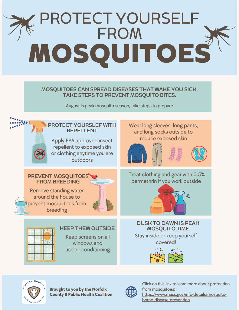 Mosquitos Flyer