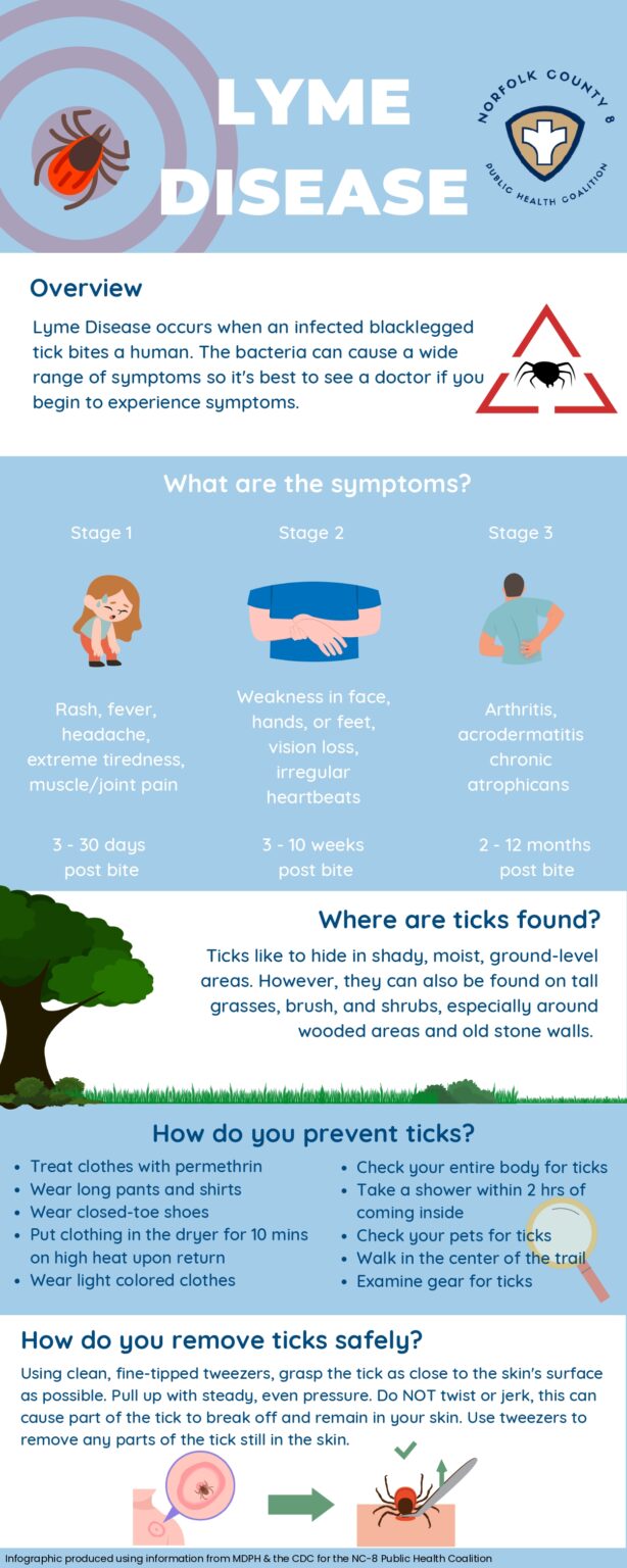 Lyme Disease Infographic (1)_page-0001